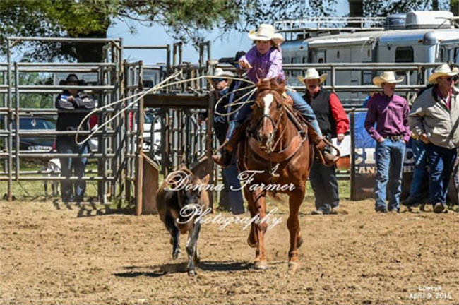 Colby Yarborough, Rodeo