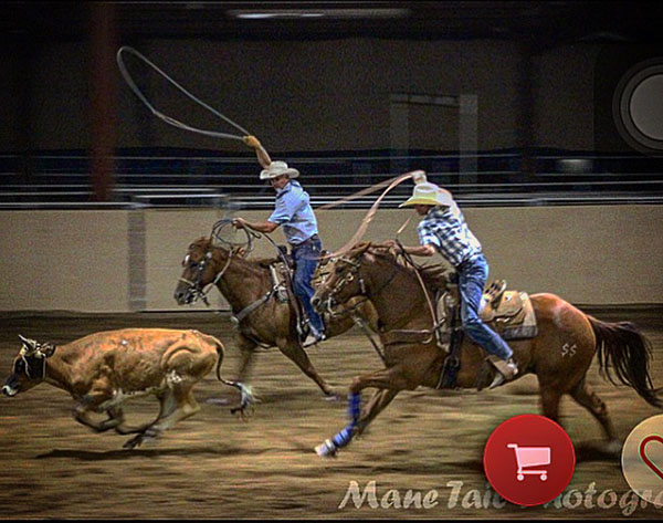 Cole Bunting, Roping